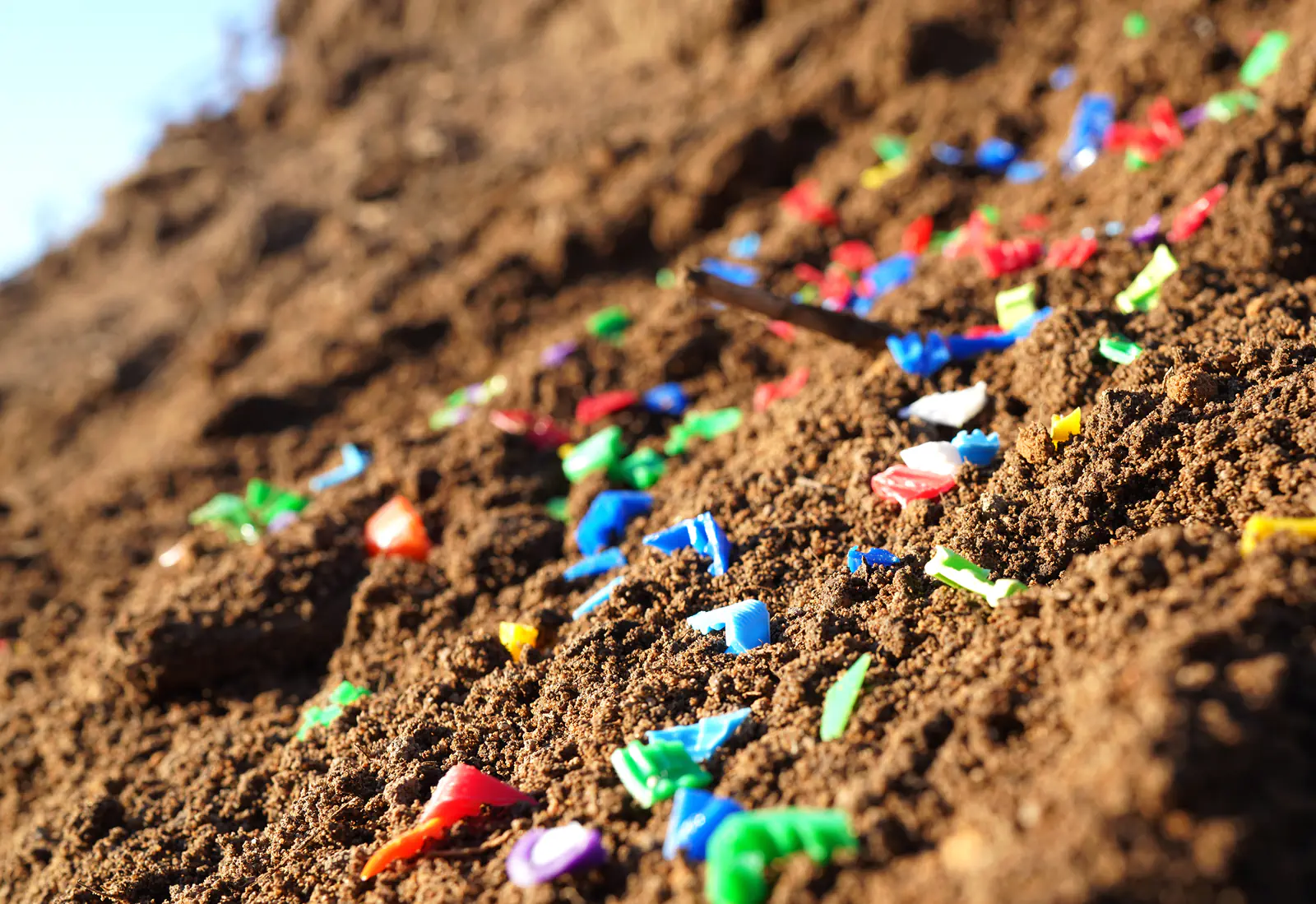 Microplastic: ce este, de unde provine și cum ne afectează