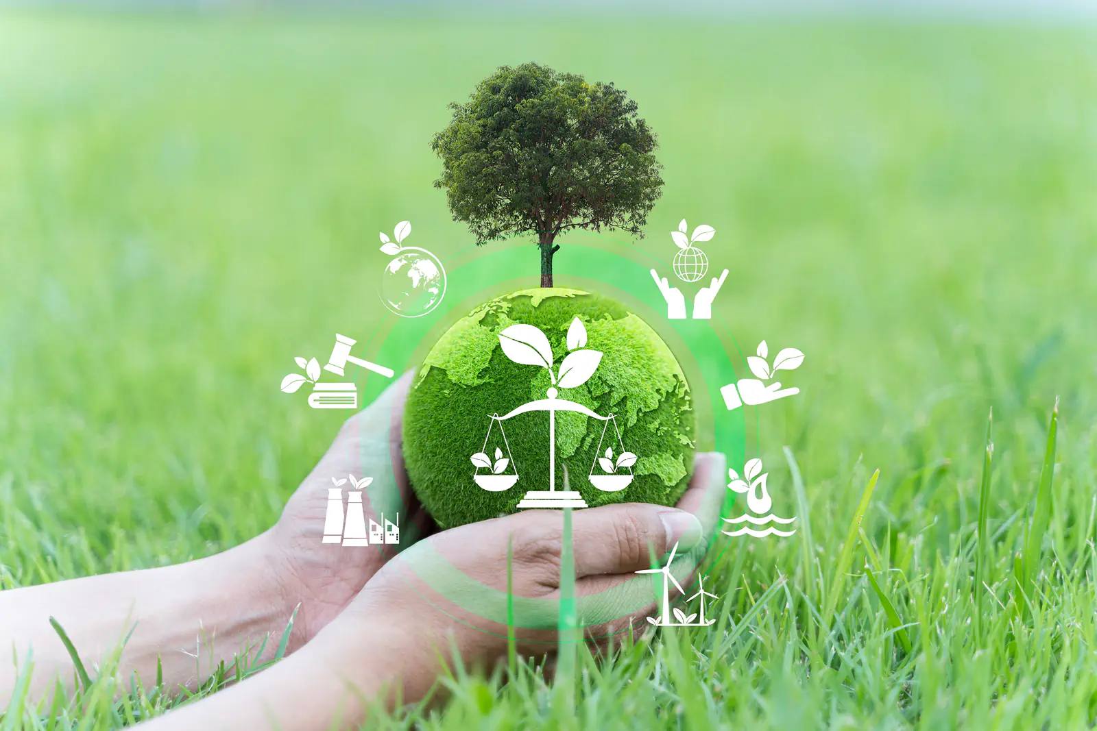 Autorizație de mediu – ce este și cum se obține